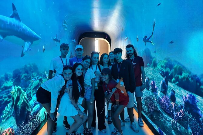 Dubai Aquarium And Underwater Zoo Tickets At Dubai Mall - Key Points