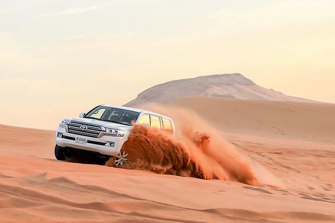 Dubai Desert Safari With Camel Ride, Horse Ride, Falcon Photography & Dinner - Key Points