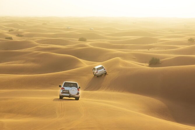 Dubai: Desert Safari With Quad Bike, Camel Ride & Dinner - Key Points