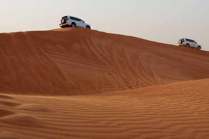 Dubai : Dune Bashing Tour Private Basis - Key Points