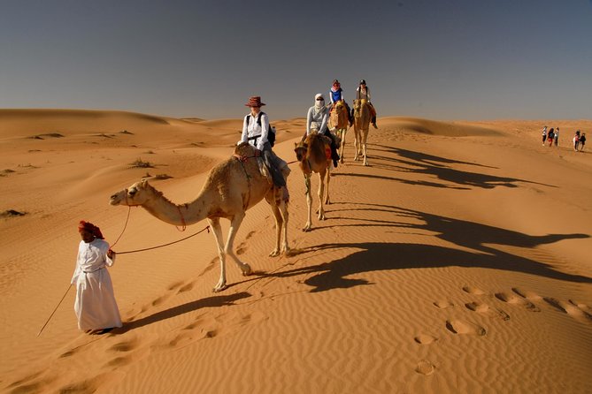 Dubai Evening Desert Safari Sharing Basis - Key Points