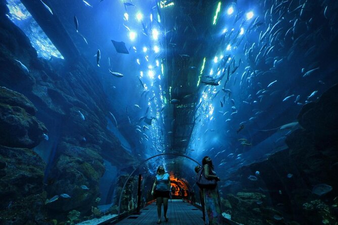 Dubai Mall Aquarium and Underwater Zoo Tickets With Transfers - Key Points