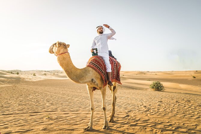 Dubai Morning Desert Safari With Pickup - Key Points