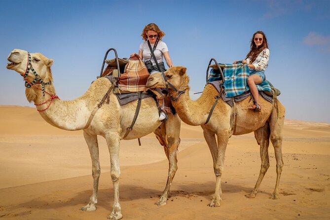 Dubai Red Dune Camel Trekking, Desert Safari and BBQ Dinner - Key Points