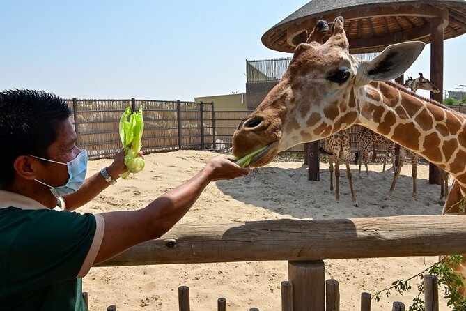 Dubai Safari Park Ticket - Key Points