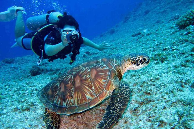 Dubai Scuba Diving Lesson With PADI Instructor and Transfers - Key Points