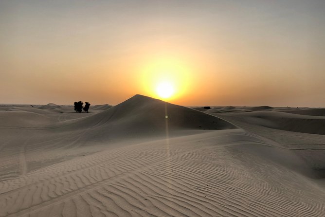 Dubai Sunrise Desert Tour - Key Points