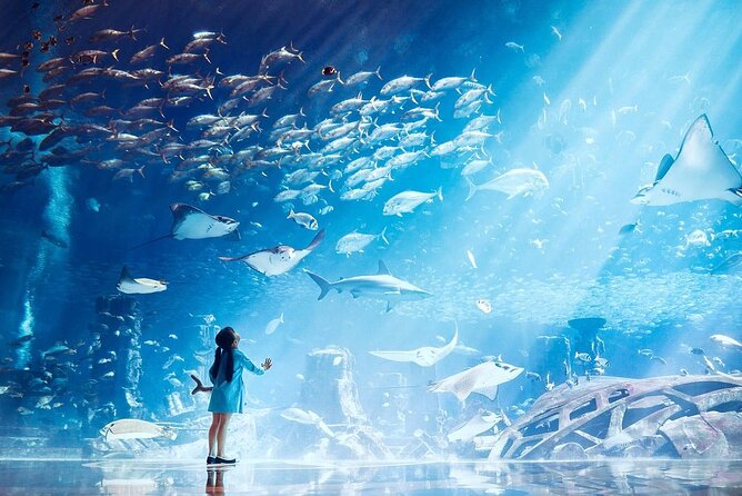 Dubai The Lost Chambers Aquarium Entrance Ticket - Key Points