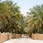 dubai to al ain private tour a journey from sand to lush oasis Dubai to Al Ain Private Tour a Journey From Sand to Lush Oasis.