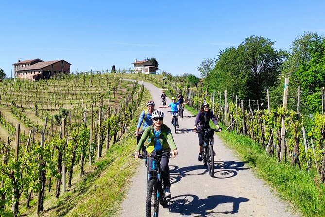 E-Bike Tour in Valdobbiadene With Wine Tasting and Typical Food - Key Points