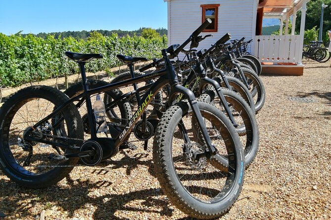 E-Bike Wine Tour Stellenbosch (Half Day)