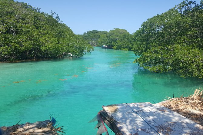 East End Tour (Mangroves, Punta Gorda, Port Royal) With Snorkeling Option - Tour Highlights