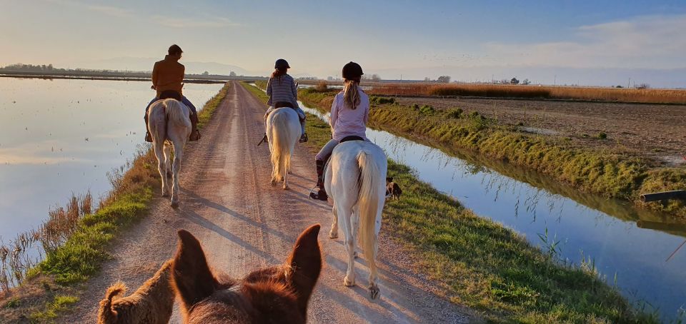 ebro delta national park guided horseback riding tour Ebro Delta National Park: Guided Horseback Riding Tour