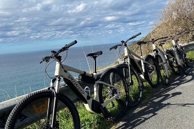 Electric MTB Bike Tour Through the Bay of Plencia - Key Points