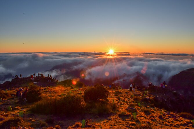 Set out on a Luxurious Private Journey: Unveiling the Madeira Best - Key Points