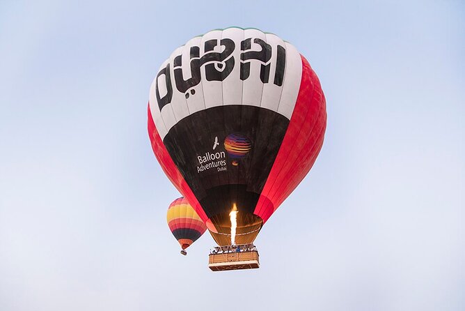 Enjoy Dubai Beautiful Desert Hot Air Ballon&Falcon Show and Camel - Key Points