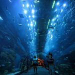 entrance to dubai aquarium and underwater zoo Entrance to Dubai Aquarium and Underwater Zoo