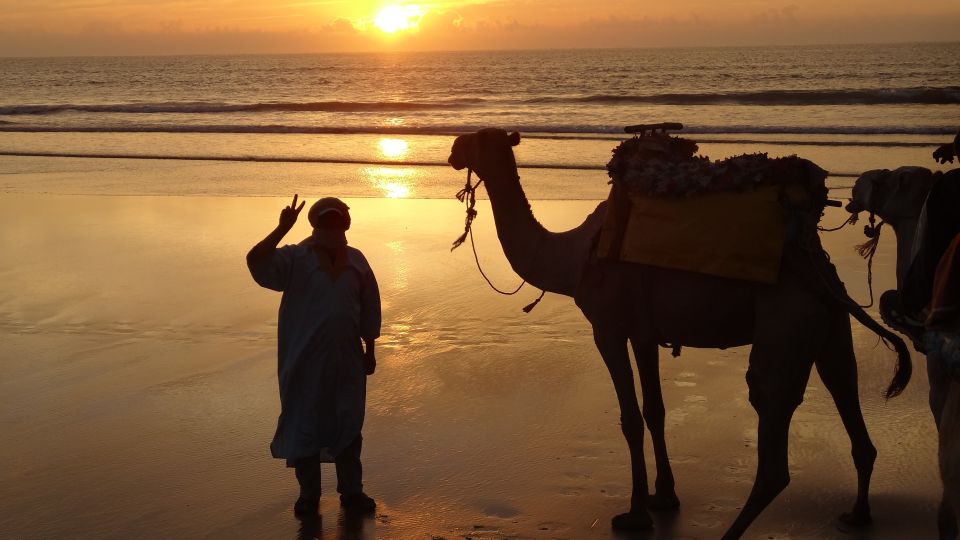 Essaouira: One Hour Dromedary Ride - Key Points