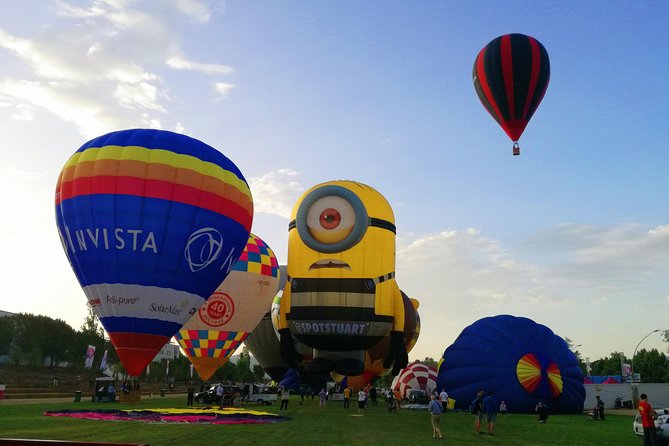 European Balloon Festival on , 11th, 12th, 13th & 14th July - Key Points