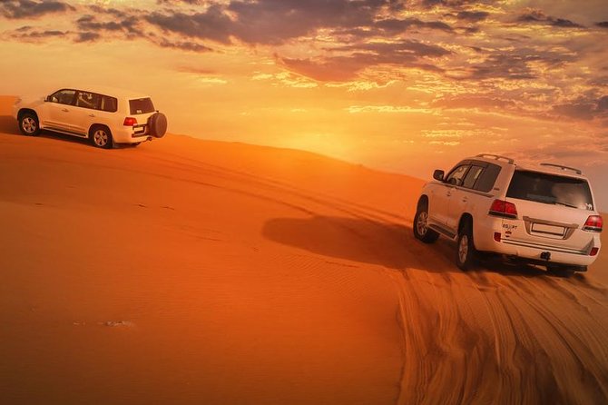 Evening Desert Safari Dune Bashing, Camel Ride, and Dinner  - Dubai - Key Points