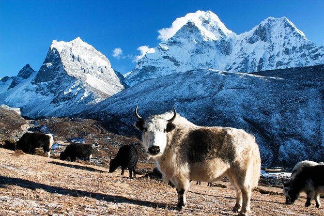 Everest Base Camp Helicopter Tour - Key Points