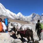 everest base camp trek 12 days 10 Everest Base Camp Trek - 12 Days