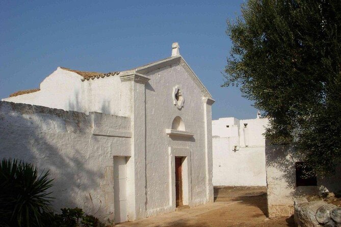 EVO Oil Tasting at a Masseria in Ostuni - Key Points