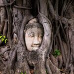 explore ayutthaya by foot or bicycle private tour from bangkok Explore Ayutthaya by Foot or Bicycle - Private Tour From Bangkok