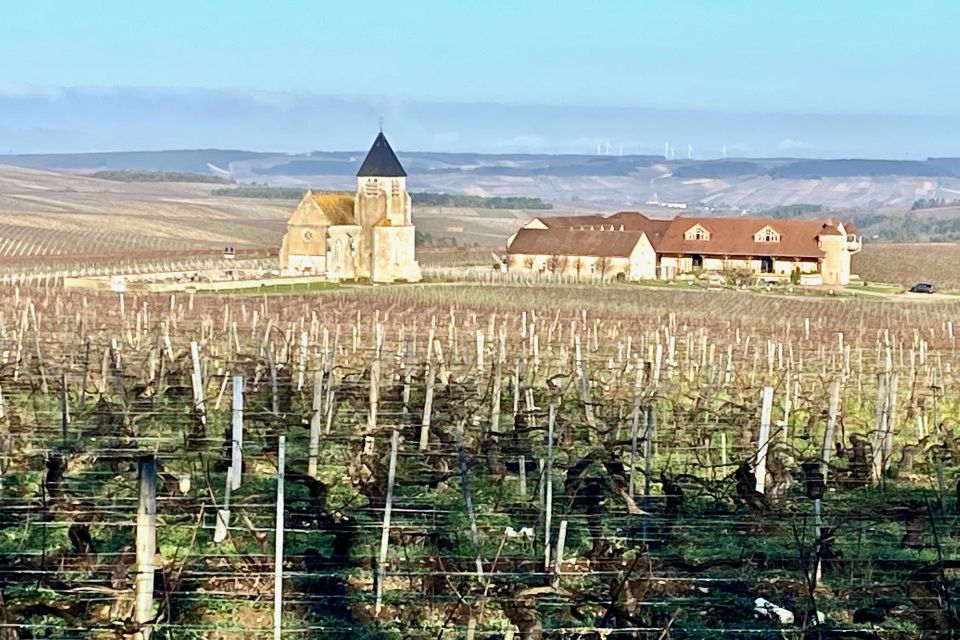 Exquisite Wines Tasting Chateau Pommard, Chablis Small-Group - Key Points