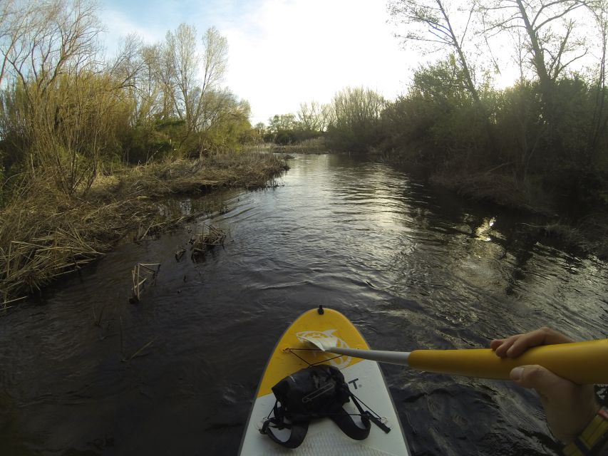 Extremadura: Paddle Surf Guided Tour on Valdecañas Reservoir - Key Points