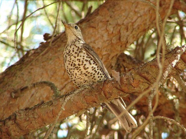 Faro Small-Group Marine Wildlife Cruise - Key Points