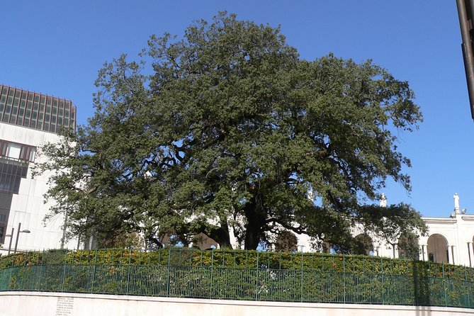 Fatima Sanctuary and Little Shepherds Village, 5h Tour From Lisbon - Inclusions and Amenities