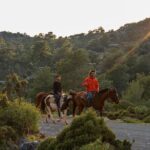 fethiye horse riding experience with free hotel transfer service Fethiye Horse Riding Experience With Free Hotel Transfer Service