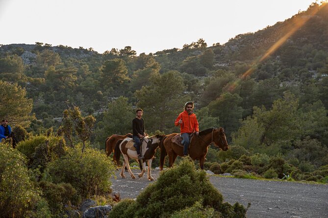 Fethiye Horse Riding Experience With Free Hotel Transfer Service