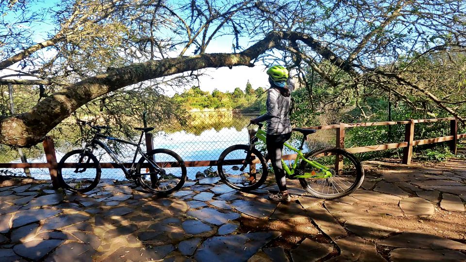 Firgas: Gran Canaria Forest Mountain Bike Tour - Key Points