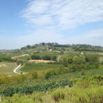 florence and wine tasting private tour from livorno Florence and Wine Tasting Private Tour From Livorno