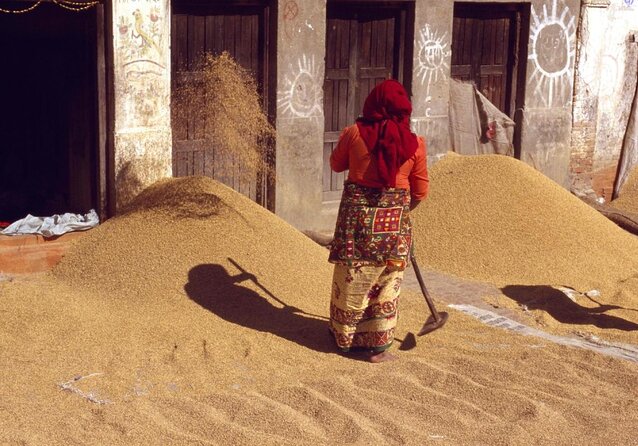 Food Tasting Tour in Nepal - Key Points