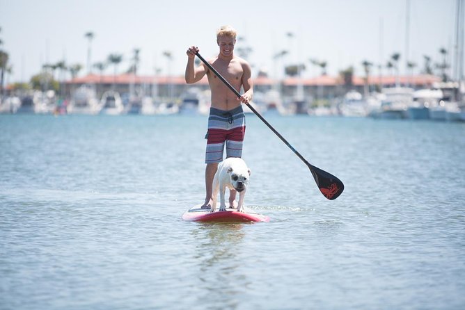 Fort Lauderdale Paddleboard Rental - Key Points