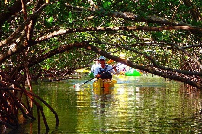 Fort Lauderdale's Tropical Kayak Tour and Island Adventure - Key Points