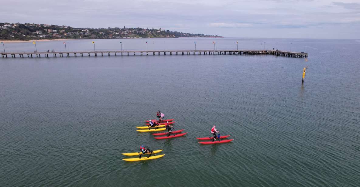 Frankston: Port Phillip Bay Water Bike Tour - Key Points