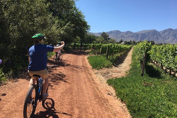 Franschhoek Cycle & Tasting Experience 3 Hour - Key Points