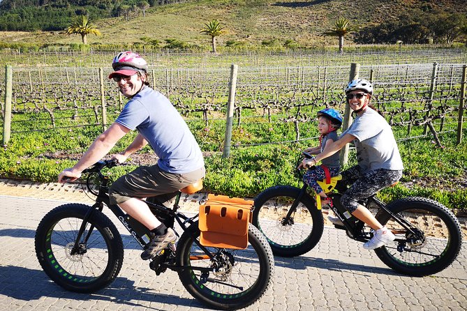 Franschhoek E-Bike Wine Tour (Half Day) - Key Points