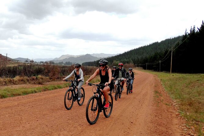 Franschhoek Half Day Winelands Cycle Tour - Key Points