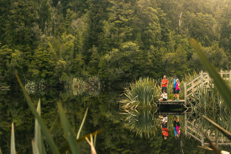 Franz Josef: Half-Day Nature Tour to Lake Matheson - Key Points