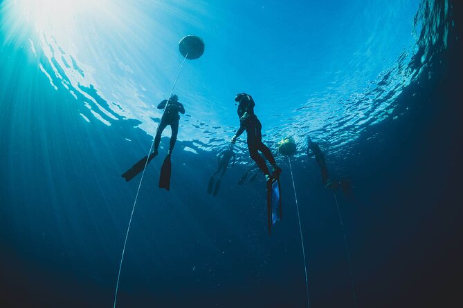 Freediving Courses in Javea, Alicante - Key Points