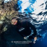 freediving in the wild of the amalfi coast capri sorrento Freediving in the Wild of the Amalfi Coast/Capri/Sorrento:
