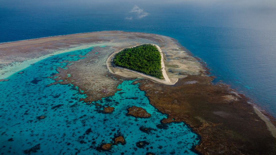 From 1770: Lady Musgrave Island Snorkelling Day Cruise - Key Points