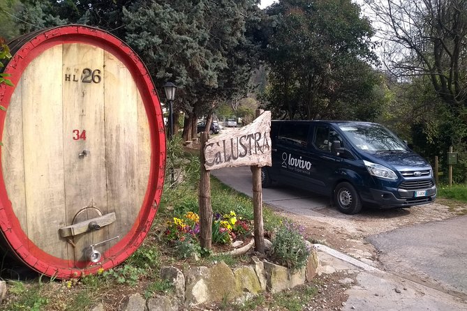 From Abano Montegrotto, Wine Tour in the Euganean Hills - Key Points