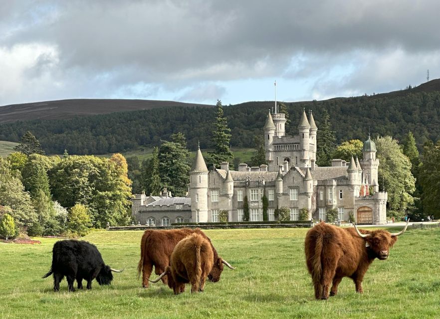 From Aberdeen: Balmoral Castle Estate and Royal Deeside Tour - Key Points