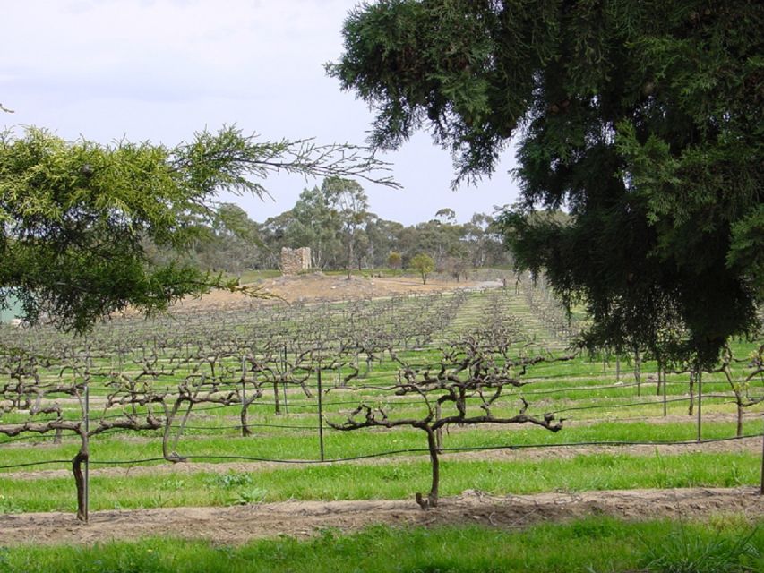 From Adelaide: Clare Valley Winery Tour - Key Points